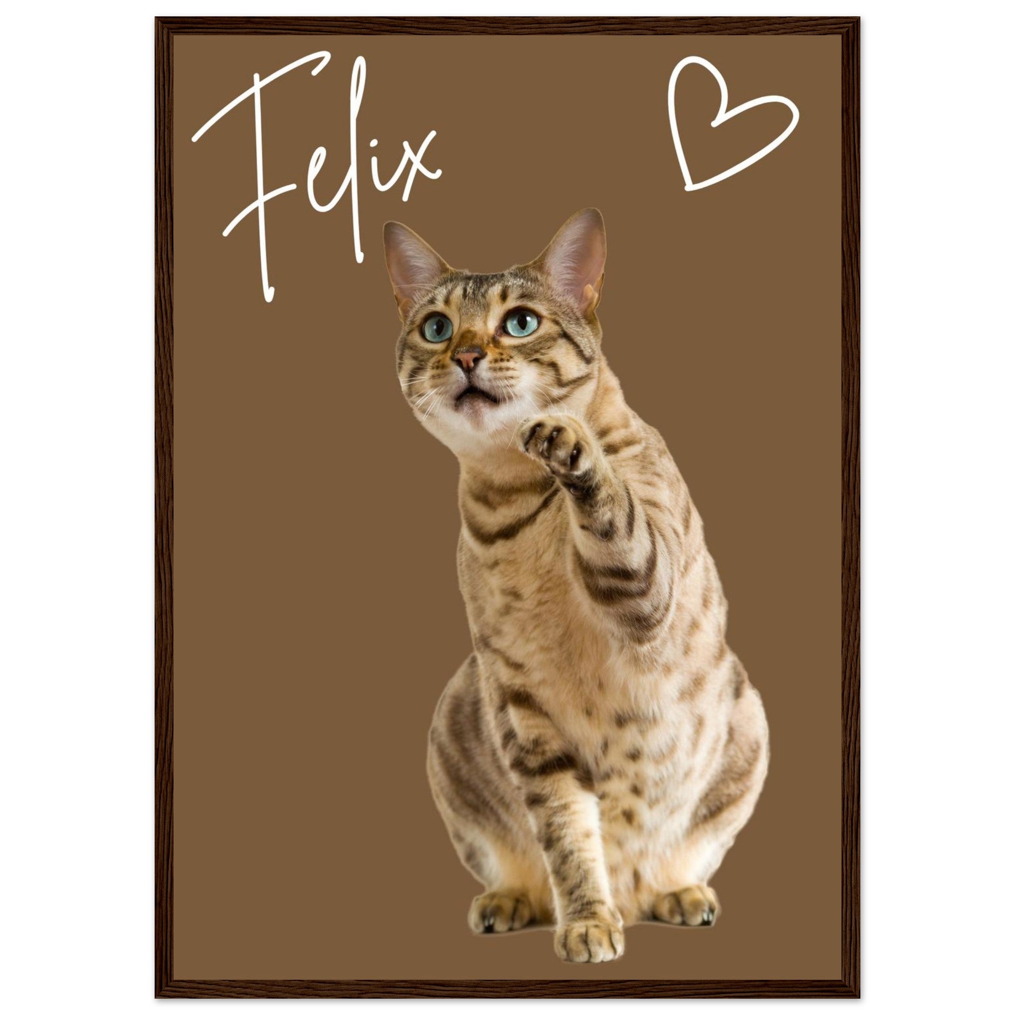 11f7a5e4-4414-48e9-a7bf-936ff9ebb70e