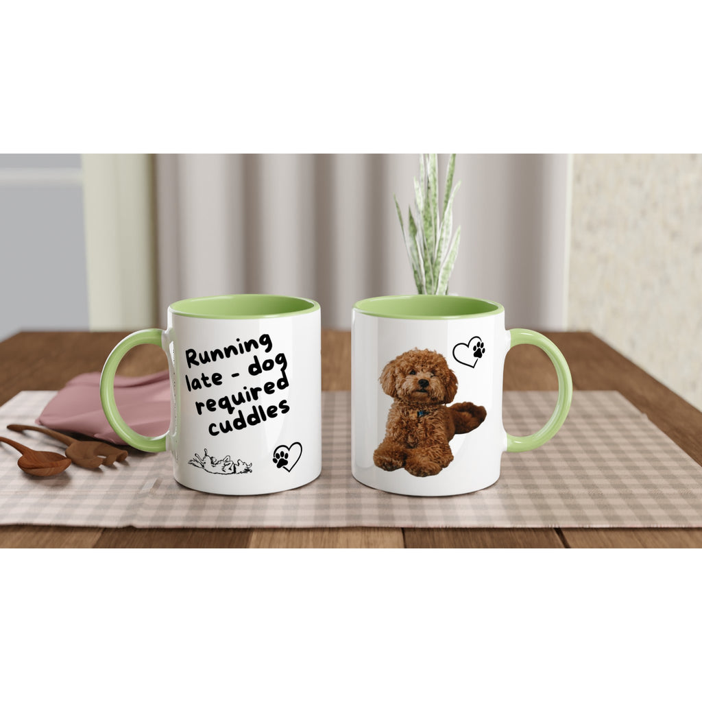 1cff4481-11d1-4fc0-b408-e0b09e7c52d8