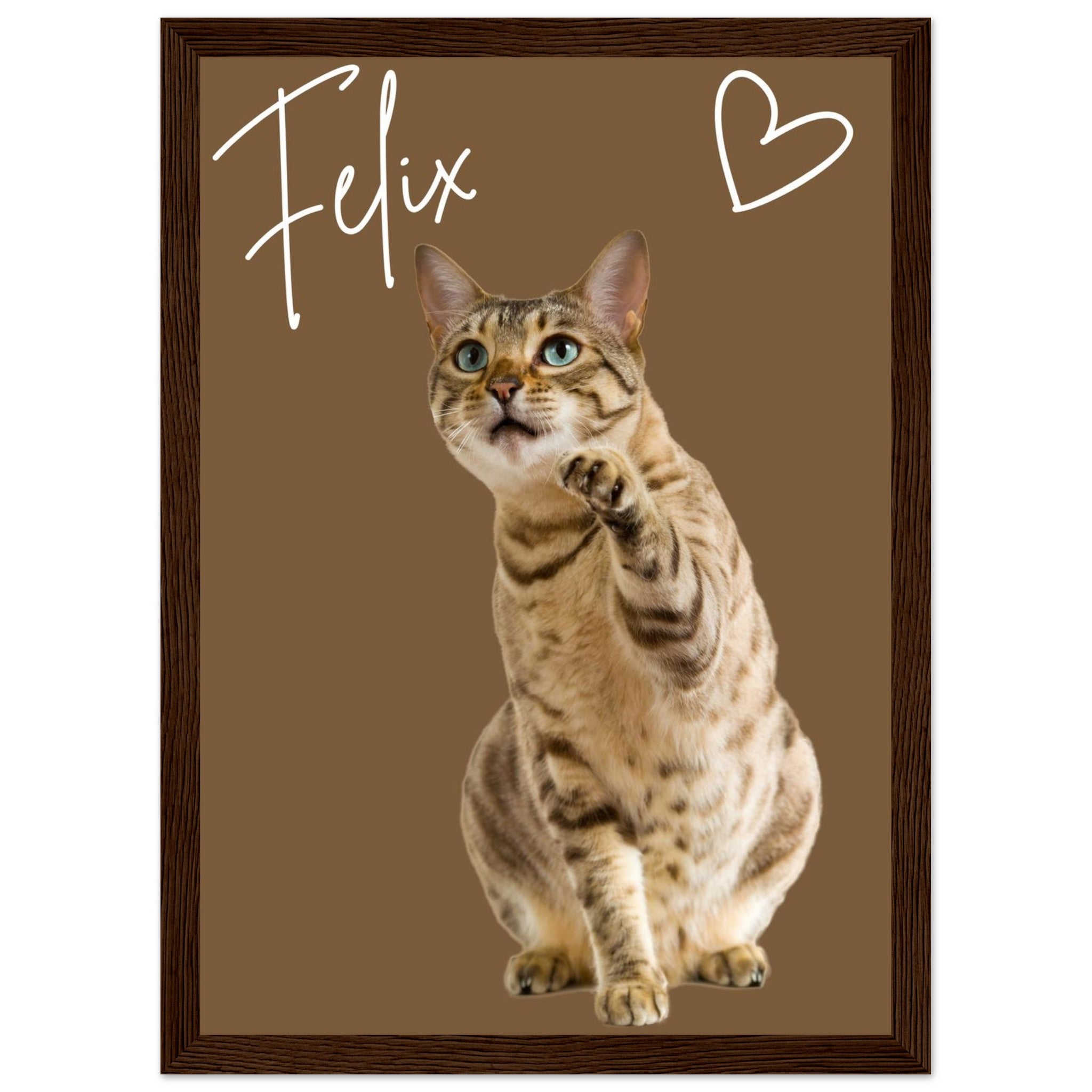 50003391-c6ff-49f1-9906-d11c74b0fdbe