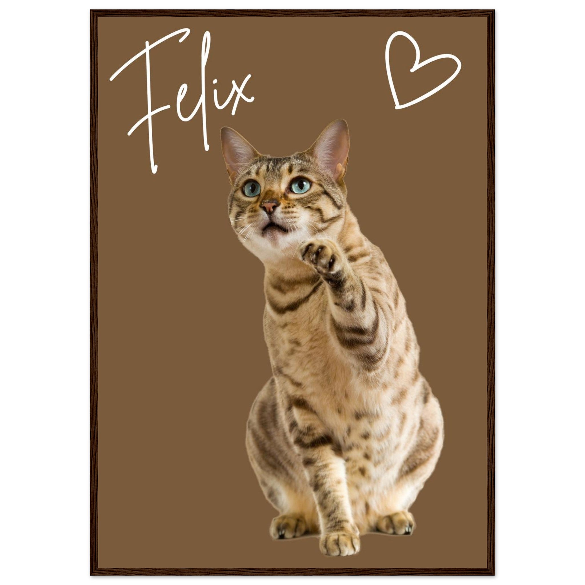 8f3ac955-ce20-470e-b804-9b5bd3abd3b9