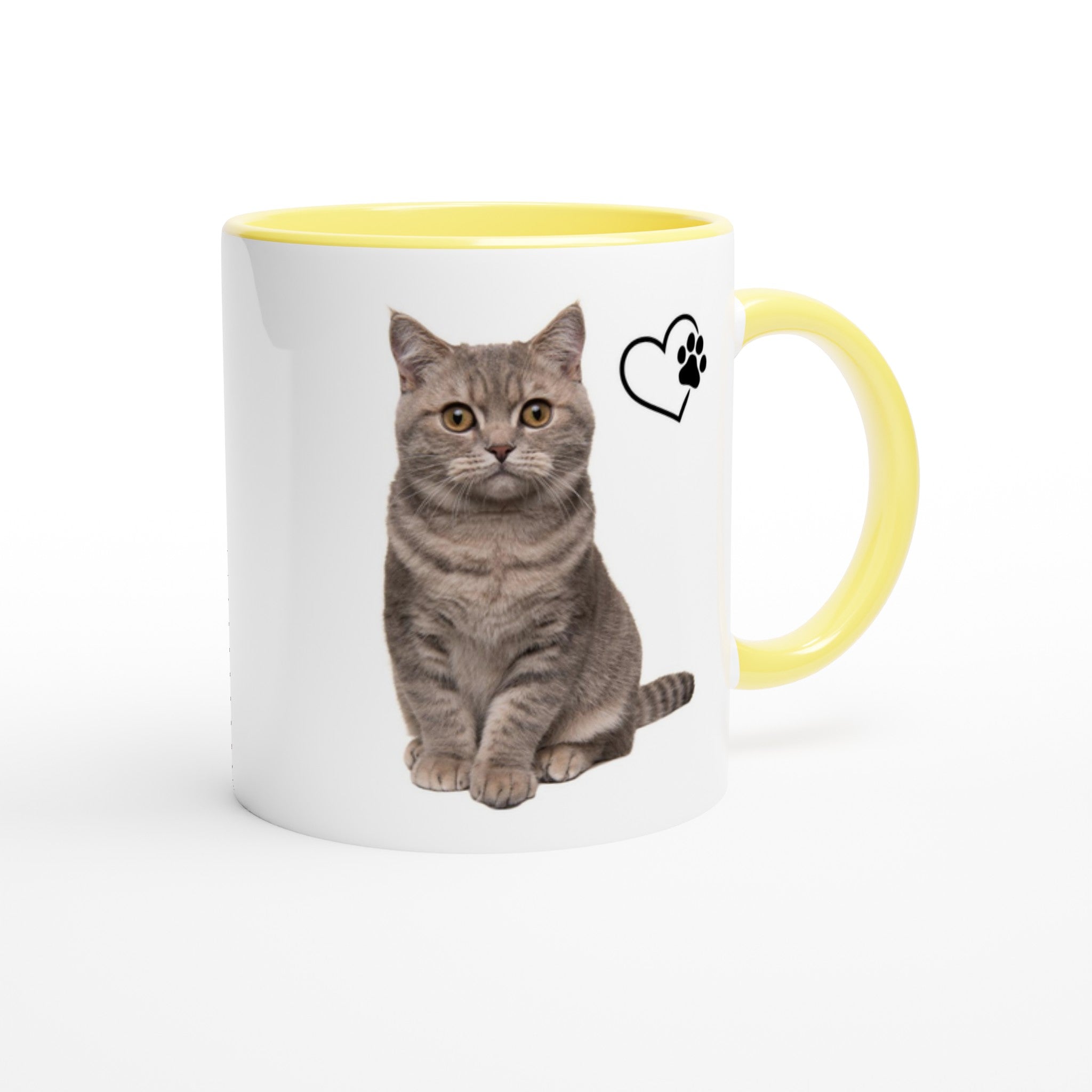 e8ce6ad7-efb9-42cd-b243-0c69f708f339